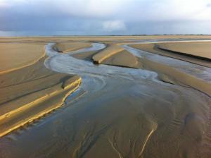 Friesenresidence, Whg. Silbermöwe