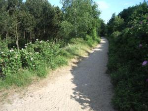 Ferienhaus von Ahrentschildt-Pestalozzistrasse 29