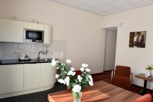 One-Bedroom Suite room in SuyderSee Hotel