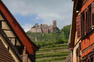 Appartements RIBEAUVILLE city center - Gite des Menetriers, LES VIEILLES VIGNES - : photos des chambres