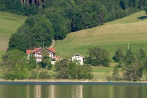 Nussbaumer am Irrsee