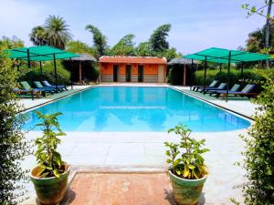 The Mountain Retreat