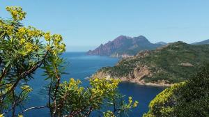 Appart'hotels Residence Colombara : photos des chambres