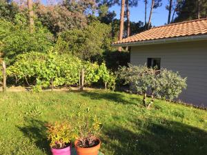 B&B / Chambres d'hotes AUX PETITS BAGANAIS : photos des chambres