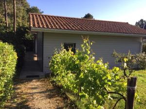 B&B / Chambres d'hotes AUX PETITS BAGANAIS : photos des chambres