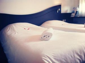 Hotels Couett' Hotel Rumilly : Chambre Lits Jumeaux