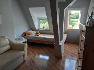 Apartament Błonia