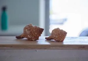 Stella's Beach House - 皮萨瑞弗罗达