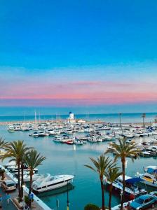 Villa La Palmeraie Puerto de la Duquesa