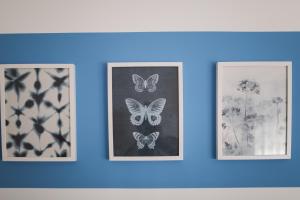 blue adria 