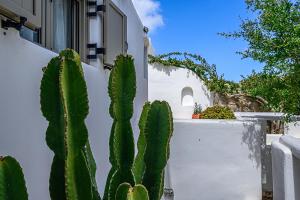 Three Βedroom  Villa with Plunge Pool