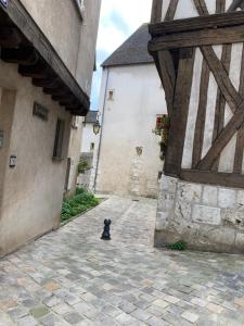 Le Petit Ecuyer photo 24