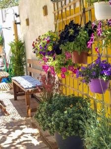 Afrodites Residence Triopetra Rethymno Greece