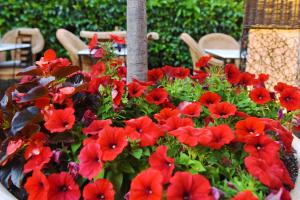 Armata Boutique Hotel Spetses Greece