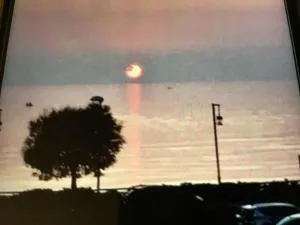 MELOGRANO - Minturno