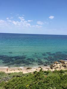 Ginepro family img25