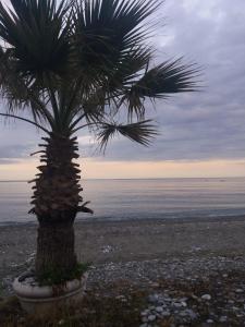 SEA VIEW APARTMENTS Aphrodite Olympos Greece