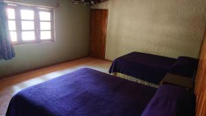 Cabañas Tapalpa Sierra del Tecuan, Cabaña Coyote