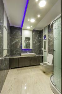 milsa stars 221