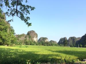 Tam Coc Vinh Thinh Homestay