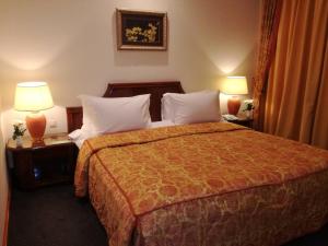 Single Room room in Hotel Villa Breg
