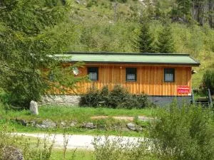 Ferienalm Schitter - Твенг