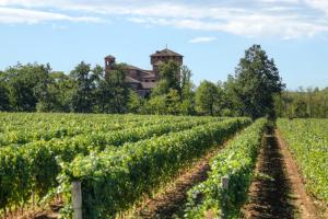 B&B Le Strade del GAVI img25