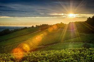 B&B Le Strade del GAVI img30