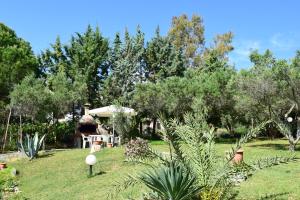 Cortessa Apartments Halkidiki Greece
