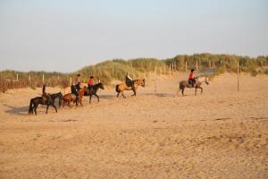 Appartement Dahlia Terras