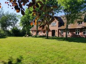 Lindenhof - Lexgaard