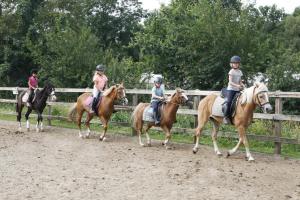 Voorde 16 pers. bungalow