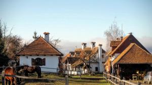 Count Kálnokys Transylvanian Guesthouses