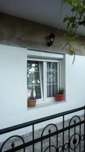 Big apartment near Olympus mountain Olympos Greece