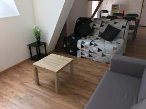 Acca larentia photo 24