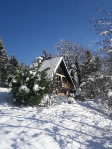 Vikendica Alpinejka House Tržič Slovenija