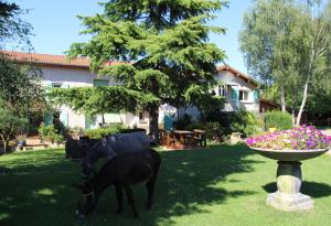 B&B / Chambres d'hotes LA FERME DE CAPUCINE : photos des chambres