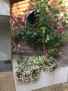 B&B / Chambres d'hotes La Belle Relax - calme et tranquillite assures - 2 personnes : photos des chambres