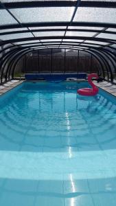 Hotels Hotel des Thermes et du Casino : photos des chambres