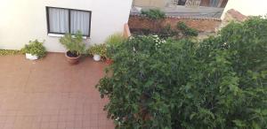 Biblioteca municipal