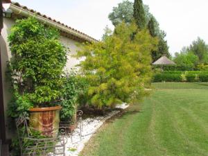 Villas Grande villa d Agathe, piscine privative cloturee entre St Remy de Provence et Avignon : photos des chambres