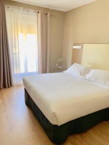 Standard Room room in Hotel Amiraute