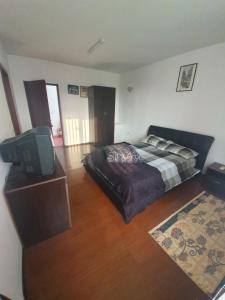Vila Isabela