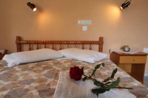 Frankis Apartments Agios Spyridonas Perithia