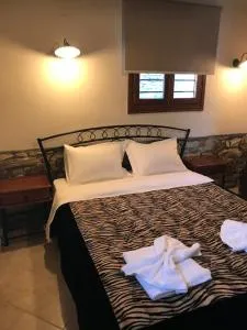 Traditional House Irina - Theológos