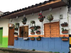 Hostal El Jardin de jardin