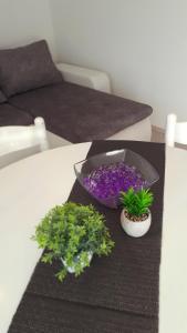 Apartment Aquamarine