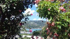 Kay Zanndoli - Apartments, La Trinité