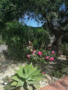 Finca San Diego villa entera para ti