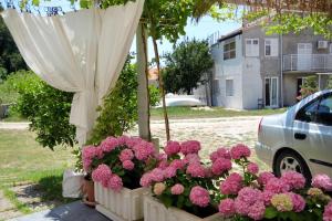 Studio with Terrace room in Apartments and rooms with parking space Slano Dubrovnik - 2179